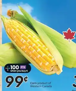 Sobeys Corn offer