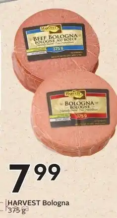 Sobeys Harvest Bologna offer