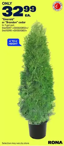 RONA rona emerald or brandon cedar offer