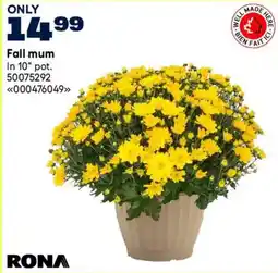 RONA Rona fall mum offer