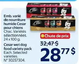 Walmart Cesar wet dog food variety pack offer
