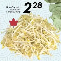 Sobeys Bean Sprouts offer