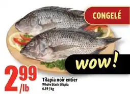 Bonanza Tilapia noir entier offer