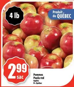 Bonanza Pommes Paula red offer