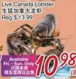 Foody Mart Live Canada Lobster offer