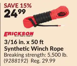 Princess Auto 3/16 in. x 50 Synthetic Winch Rope offer