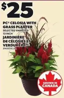 Independent Grocer PC celosia with grass planter offer