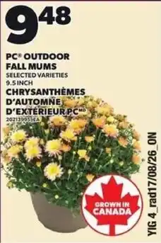 Independent Grocer PC outdoor fall mums offer