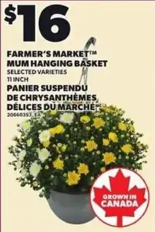 Independent Grocer Farmer's Market Mum Hanging Basket offer