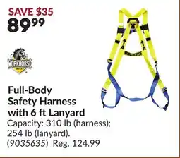 Princess Auto Full-Body Safety Harness with 6 ftLanyard offer