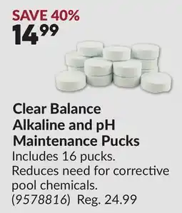Princess Auto Clear Balance Alkaline and pH Maintenance Pucks offer