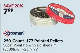Princess Auto 250-Count .177 Pointed Pellets offer