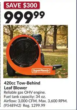Princess Auto 420cc Tow-Behind Leaf Blower offer