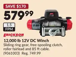 Princess Auto 12,000 lb 12V DC Winch offer