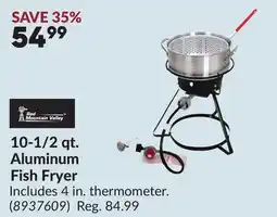 Princess Auto 10-1/2 qt. Aluminum Fish Fryer offer