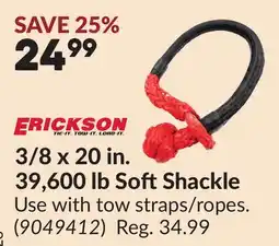Princess Auto ERICKSON 3/8 x 20 in. 39,600 lb Soft Shackle offer