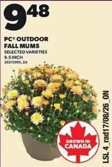 Loblaws PC outdoor fall mums offer