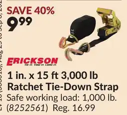 Princess Auto 1 in. x 15 ft 3,000 lb Ratchet Tie-Down Strap offer