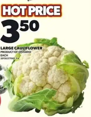 Large cauliflower