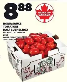 Loblaws Roma Sauce Tomatoes offer