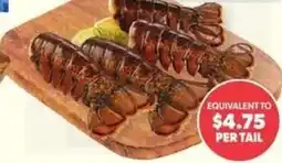Loblaws lobster tail offer
