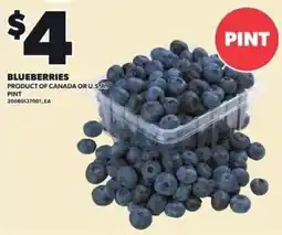 Loblaws Blueberries offer