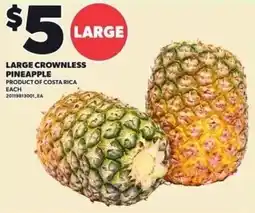 Loblaws Large crownless pineapple offer