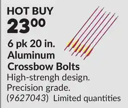 Princess Auto 6 pk 20 in. Aluminum Crossbow Bolts offer
