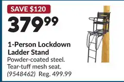 Princess Auto 1-Person Lockdown Ladder Stand offer