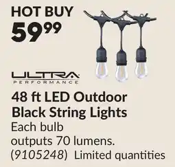 Princess Auto 48 ft LED Outdoor Black String Lights offer