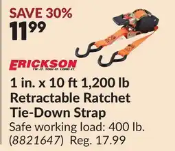 Princess Auto 1 in. x 10 ft 1,200 lb Retractable Ratchet Tie-Down Strap offer
