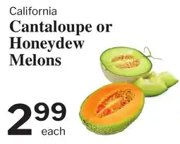 Village Food Markets Cantaloupe or Honeydew Melons offer