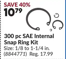 Princess Auto 300 pc SAE Internal Snap Ring Kit offer