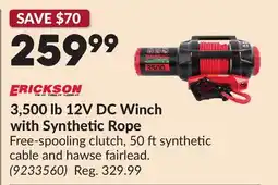 Princess Auto ERICKSON 3,500 lb 12V DC Winch with Synthetic Rope offer