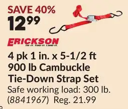 Princess Auto 4 pk 1 in. x 5-1/2 ft 900 lb Cambuckle Tie-Down Strap Set offer