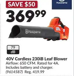 Princess Auto 40V Cordless 230iB Leaf Blower offer