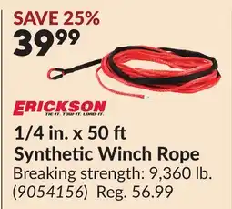Princess Auto 1/4 in. x 50 Synthetic Winch Rope offer