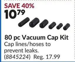 Princess Auto 80 pc Vacuum Cap Kit offer