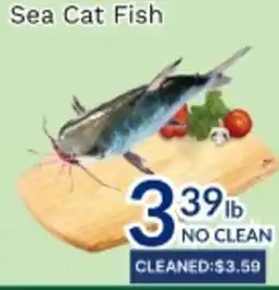 Oceans Fresh Food Market Sea Cat Fish offer