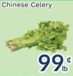 Oceans Fresh Food Market Chinese Celery offer