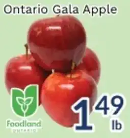 Oceans Fresh Food Market Ontario Gala Apple offer