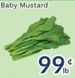 Oceans Fresh Food Market Baby Mustard offer