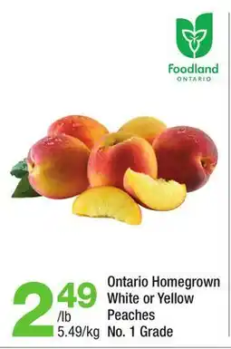 Highland Farms Ontario Homegrown White or Yellow Peaches offer
