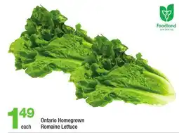 Highland Farms Ontario Homegrown Romaine Lettuce offer