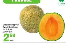 Highland Farms Ontario Homegrown Sweet Cantaloupes offer