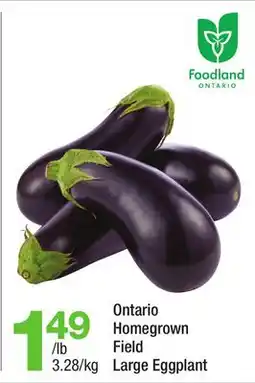 Highland Farms Ontario Homegrown Field Large Eggplant offer