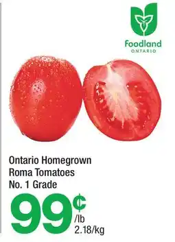 Highland Farms Ontario Homegrown Roma Tomatoes offer