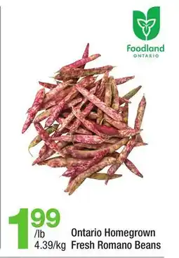 Highland Farms Ontario Homegrown Fresh Romano Beans offer