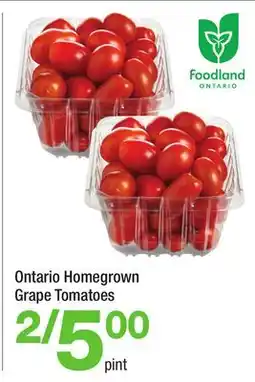 Highland Farms Ontario Homegrown Grape Tomatoes offer