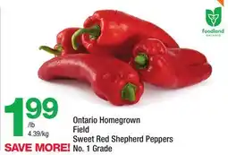Highland Farms Ontario Homegrown Field Sweet Red Shepherd Peppers offer